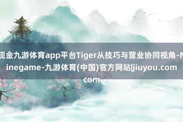 现金九游体育app平台Tiger从技巧与营业协同视角-Ninegame-九游体育(中国)官方网站|jiuyou.com