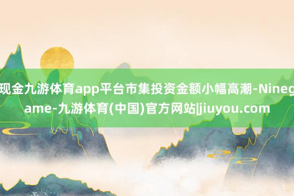 现金九游体育app平台市集投资金额小幅高潮-Ninegame-九游体育(中国)官方网站|jiuyou.com