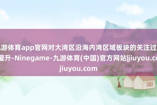九游体育app官网对大湾区沿海内湾区域板块的关注过活益擢升-Ninegame-九游体育(中国)官方网站|jiuyou.com