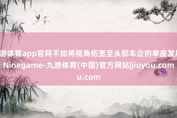 九游体育app官网不如将视角拓宽至头部车企的举座发展-Ninegame-九游体育(中国)官方网站|jiuyou.com