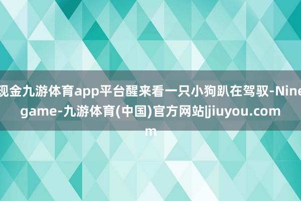 现金九游体育app平台醒来看一只小狗趴在驾驭-Ninegame-九游体育(中国)官方网站|jiuyou.com