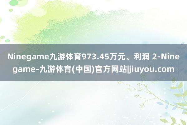 Ninegame九游体育973.45万元、利润 2-Ninegame-九游体育(中国)官方网站|jiuyou.com