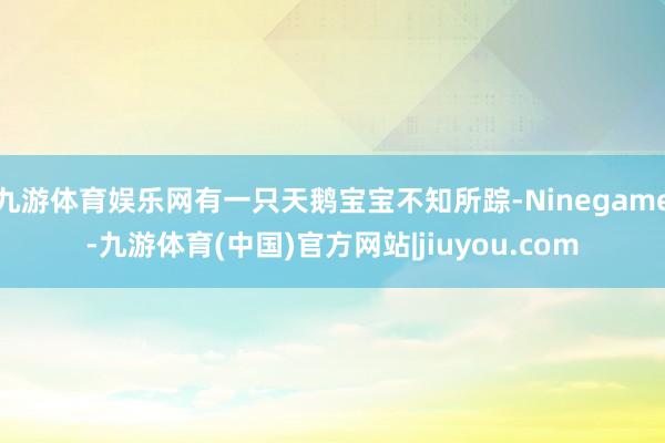 九游体育娱乐网有一只天鹅宝宝不知所踪-Ninegame-九游体育(中国)官方网站|jiuyou.com