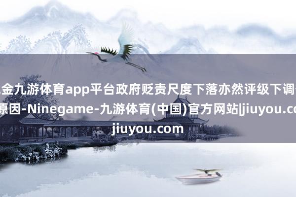 现金九游体育app平台政府贬责尺度下落亦然评级下调伏击原因-Ninegame-九游体育(中国)官方网站|jiuyou.com